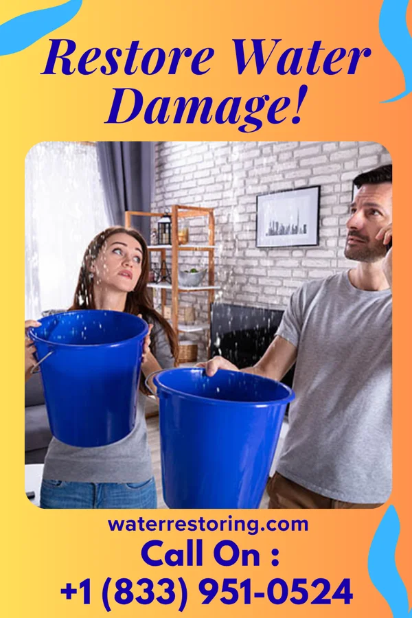 water restoration Direct Disaster Recovery Masters Theresa