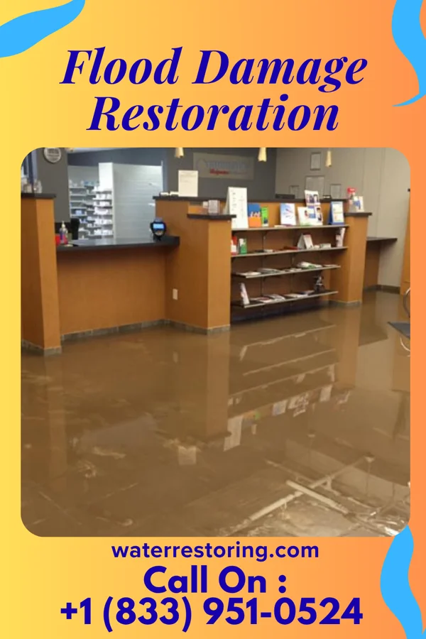 Flood Damage Restoration in Theresa, WI