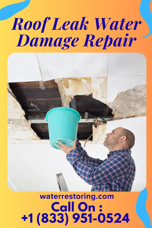Roof Leak Water Damage Repair in Theresa, WI